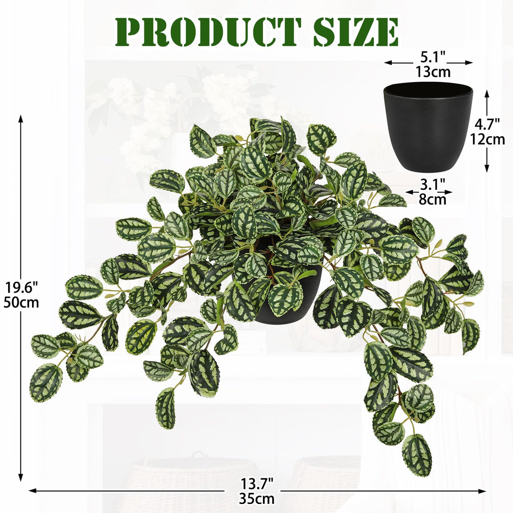 Artificial Potted Plant Indoor, 19.6" Faux Watermelon Peperomia Trailing Plant in Black Pot, Realistic Fake Plants