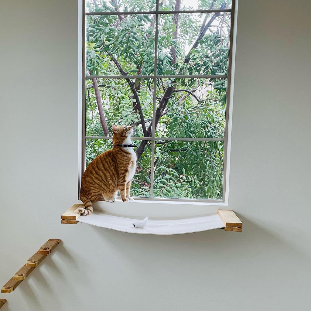Cat Wall Hammock, 34 x 13 inch Kitten Wall Furniture