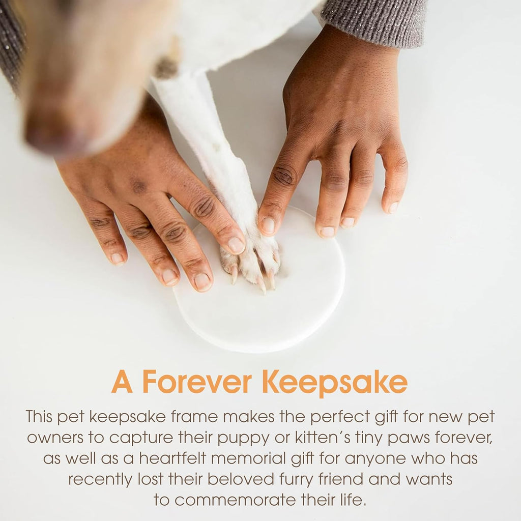 Pet Paw Print Memorial Frame with Clay Imprint Kit, Espresso Brown