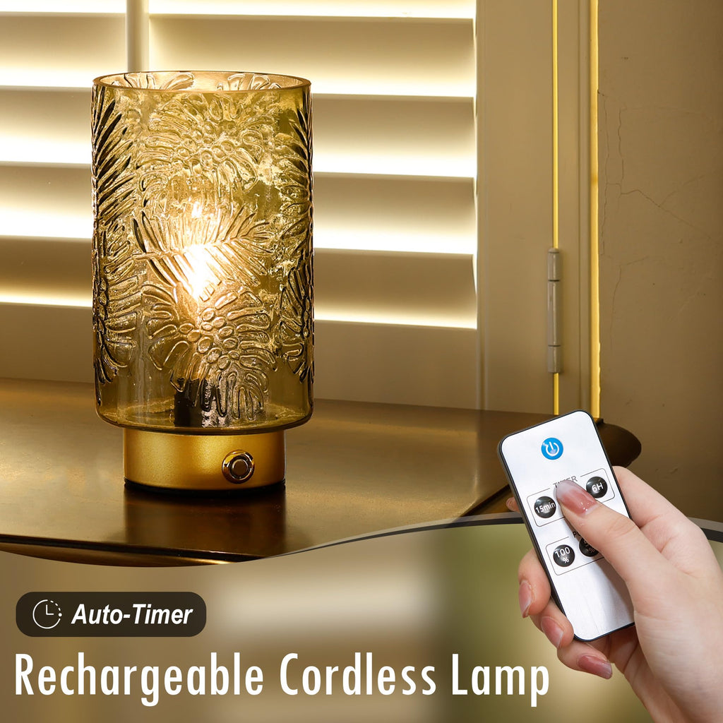 Cordless Lamps Rechargeable Battery Operated lamp,Glass Table Lamp Remote Control-Dimmable Brightness Touch Wireless