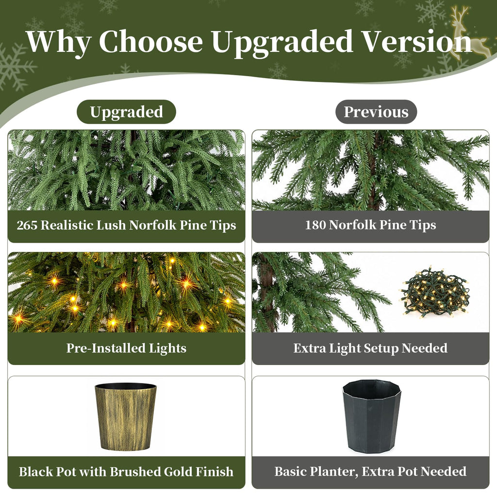 5 ft Norfolk Pine Christmas Tree for Outdoor Porch, Pre Lit