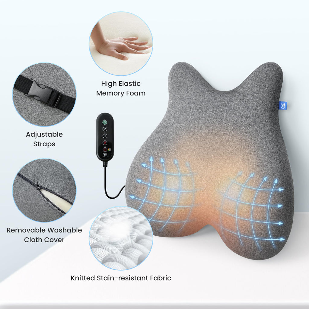 Heated Lumbar Support Pillow Chair, Ergonomic Back Support Cushion with Vibration, Memory Foam Chair Back