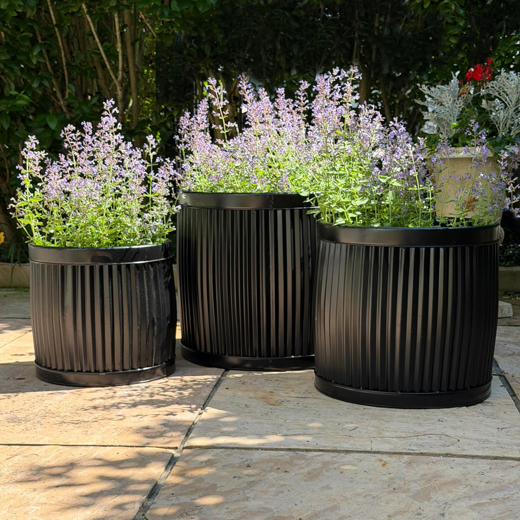 French Country Style Belly Bucket Planters