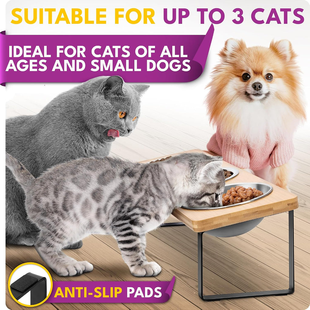 Raised cat Bowls for Indoor Cats by, Elevated cat Bowls, Tilted and Elevated Anti Vomiting Cat Dishes for Food