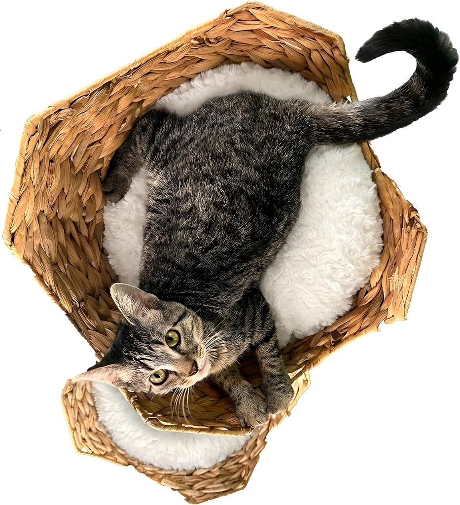Cat-Tree Tower | Modern Cat Furniture | Real Wood Branch Scratching Post | White | 46"