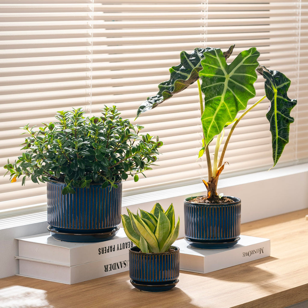 Ceramic Plant Pots Set of 3, 4.3+5.5+6.8 Inch Indoor Outdoor Planters with Drainage Hole and Saucer, Ceramic Flower
