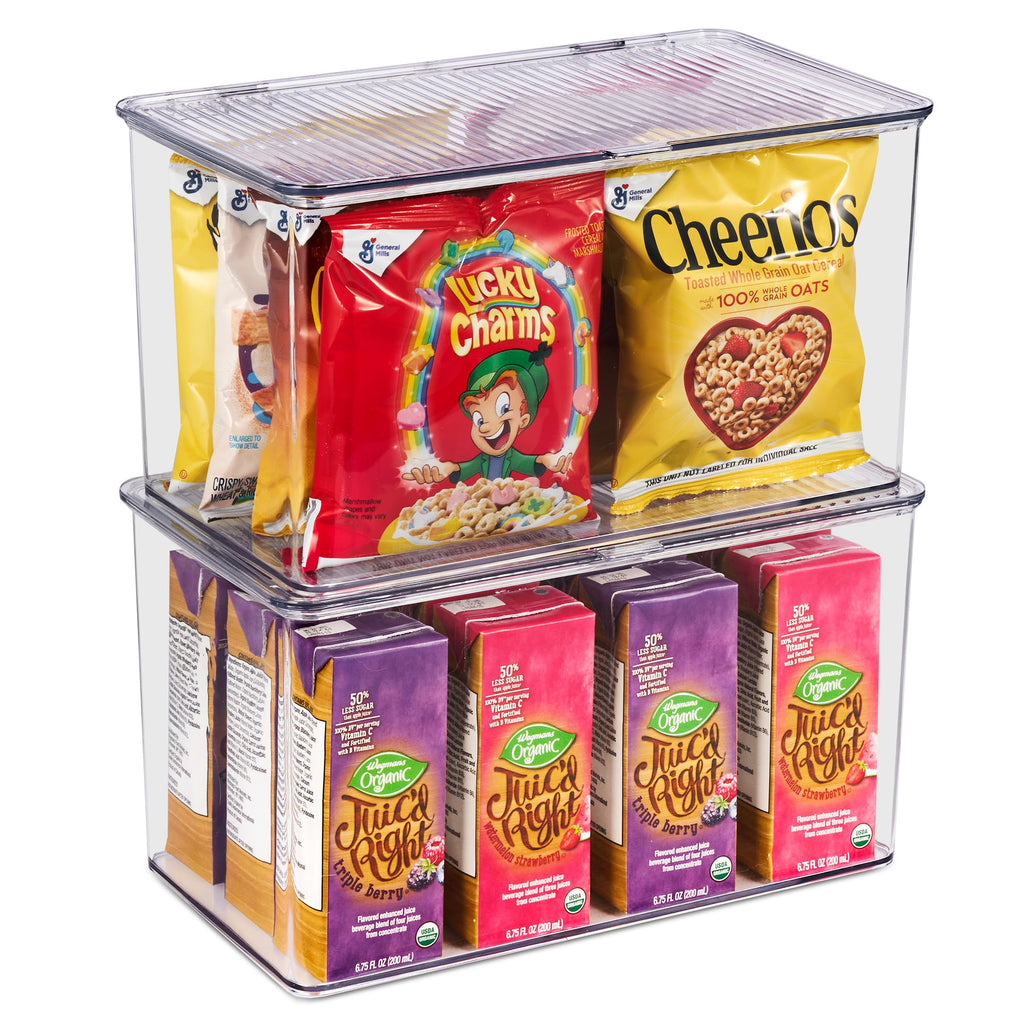 Clear Storage Bins with Lids, Stackable Organizer (Large)