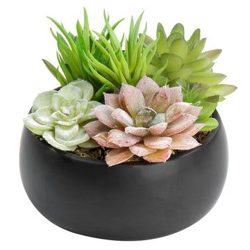 Mini Assorted Artificial Succulent Plants Black Ceramic Planter Bowl