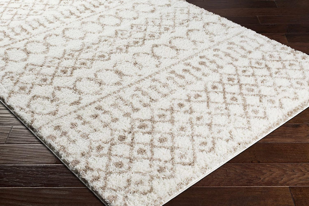 Hampton Living Room, Bedroom Area Rug - Geometric Trellis Diamond Circles Lattice - Bohemian Transitional Moroccan