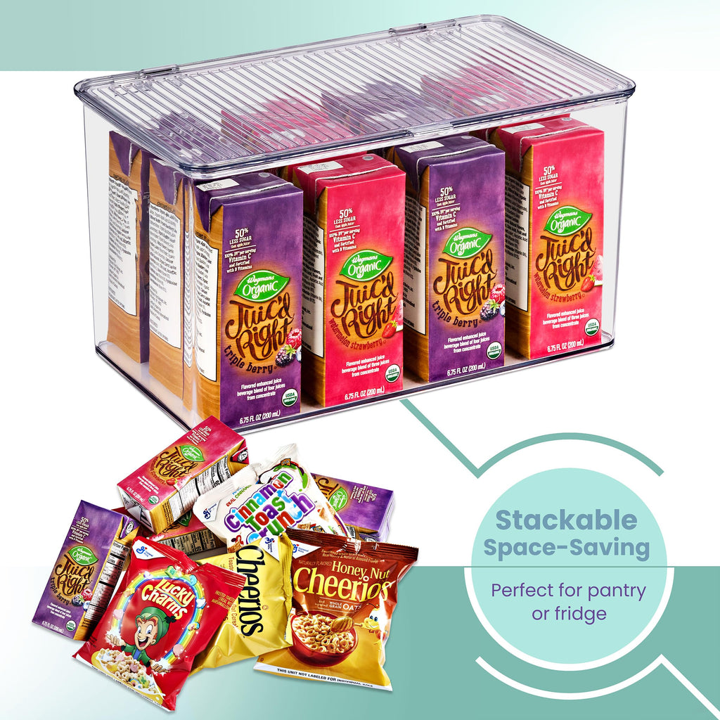 Clear Storage Bins with Lids, Stackable Organizer (Large)