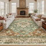 Area Rugs Large 9'x12' Washable Non-Slip, Floral Vintage Distress Medallion Carpet for Living Room B