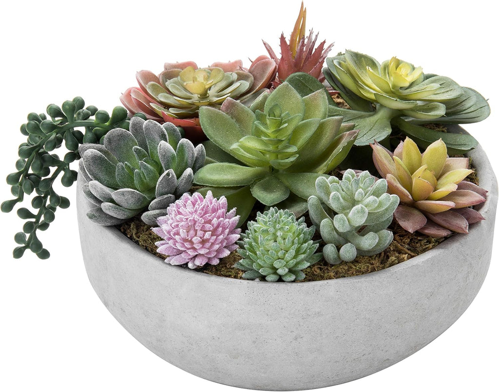 8 Inch Round Artificial Succulent Plants in Gray Concrete Plant Bowl | Indoor Decorative Greenery, Assorted Faux Mini
