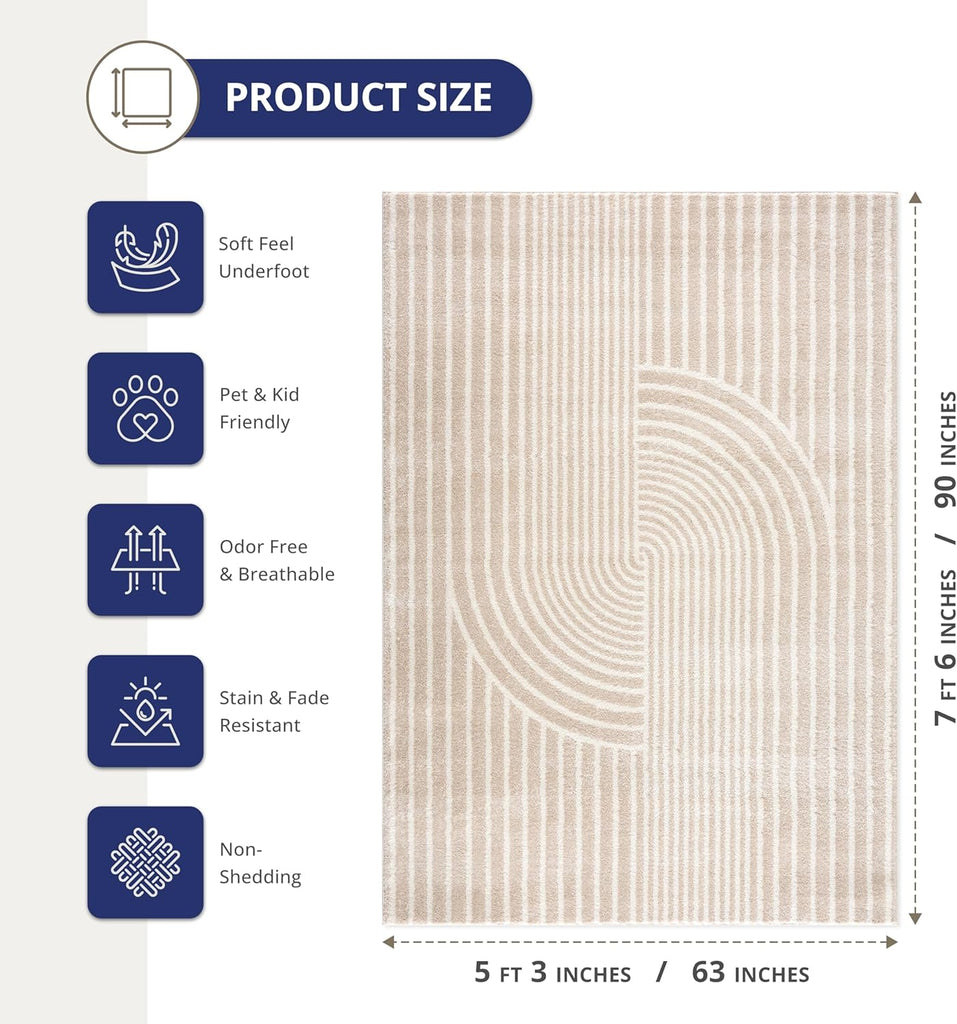 Area Rug