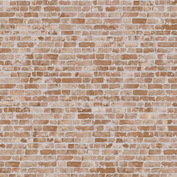 Manhattan Cotto 12-1/4" x 21" Porcelain Wall Tile