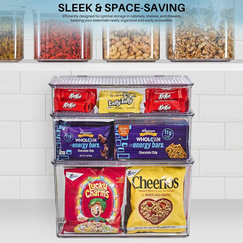 Clear Storage Bins with Lids, Stackable Organizer (Large)