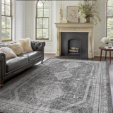 3x5 Vintage Area Rug, Machine Washable, Non Slip & Low Pile Lightweight for Living Room, Entryway, B