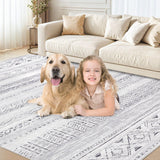 5x7 Area Rug for Living Room, Washable Non-Slip Large Area Rug