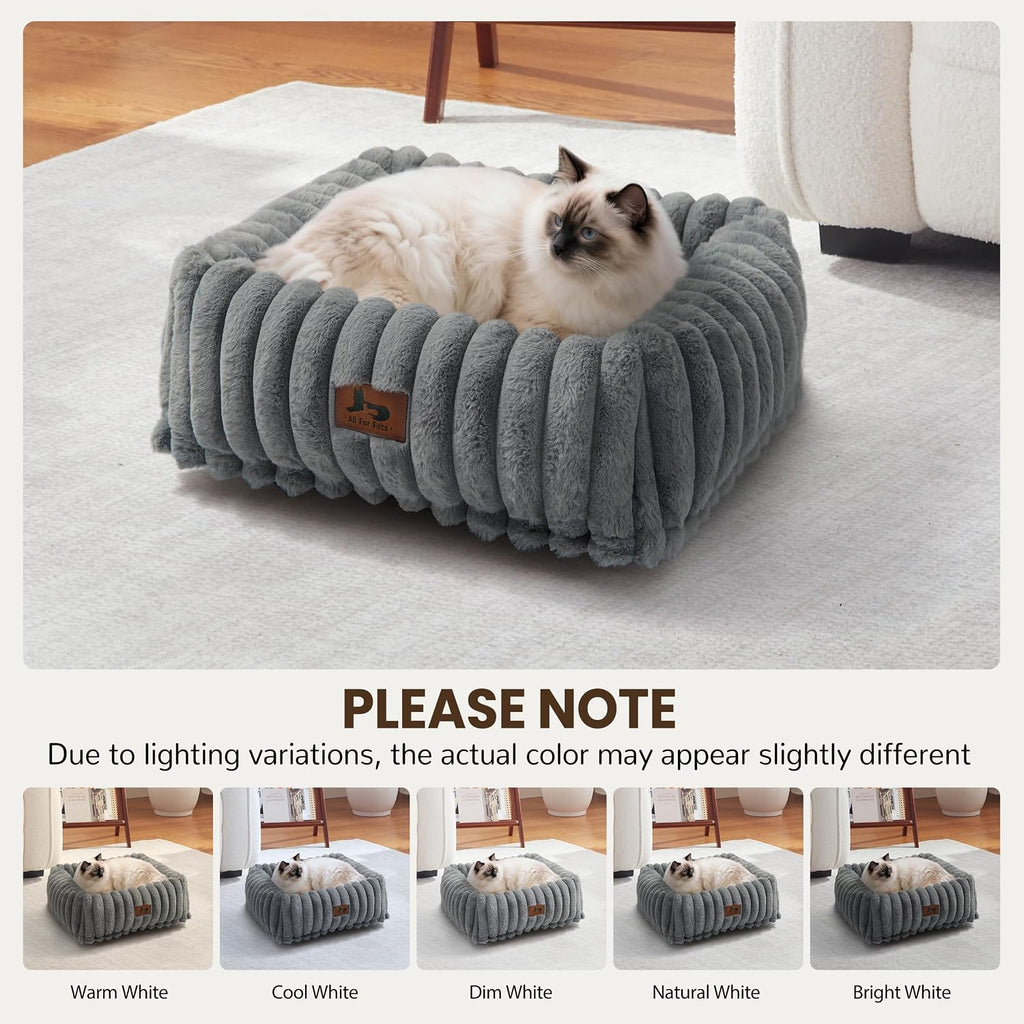 Cute Dog Bed for Small Dogs & Cats, Washable Fluffy Cat Beds for Indoor Cats, Rectangle Orthopedic Memory Foam Puppy