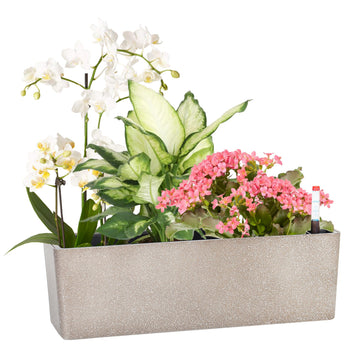 Elongated Self Watering Planter Pots Window Box 5.5 x 16 inch Indoor Home Garden Modern Decorative Planter Pot for