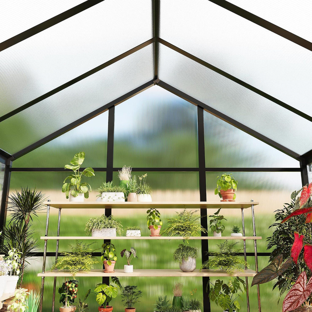 6X10 FT Polycarbonate Greenhouse Sunroom, Black | Outdoor Greenhouse for Vegetables Herbs Flowers, Lockable Door &