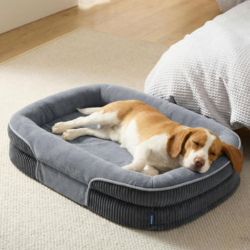 360°Oval Bolster Orthopedic Dog Beds Large Sized Dog, Grey