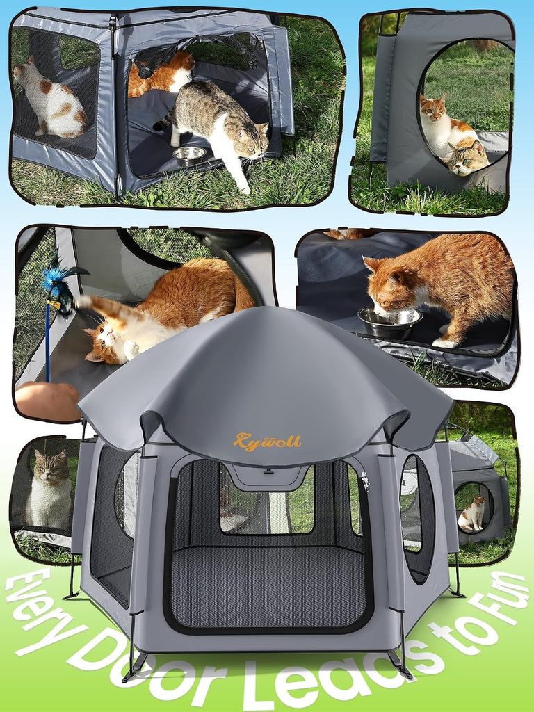 Catio Outdoor Cat Enclosure, 55" Extra Large Catio Pop Up Indoor Outdoor, Portable Cat Playpen Weatherproof