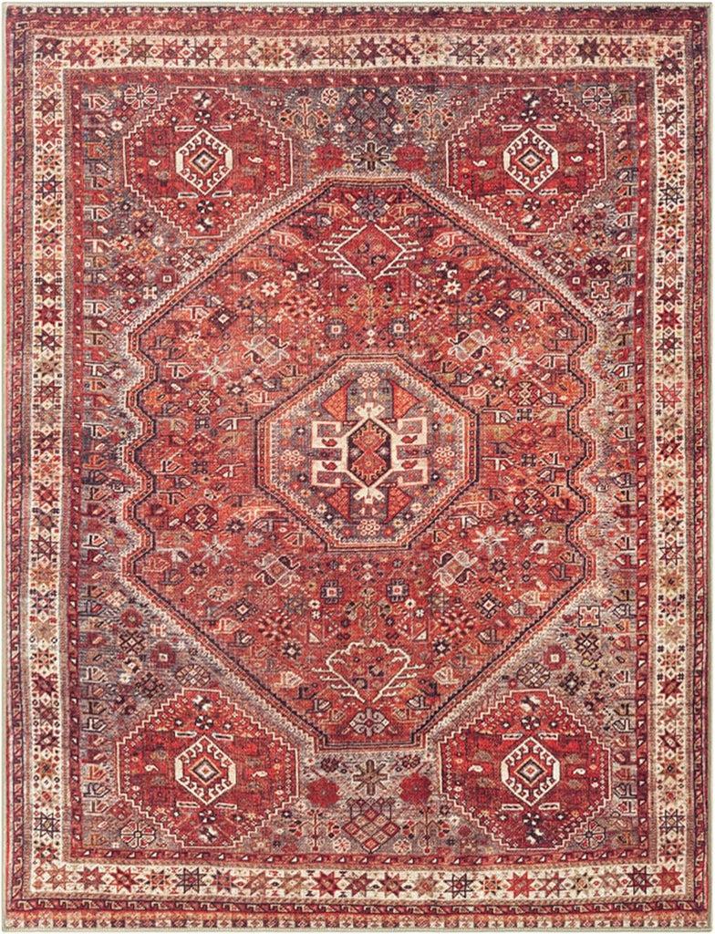 3x5 Rug - Machine Washable Entry Rug with Non-Slip Backing, Ideal
