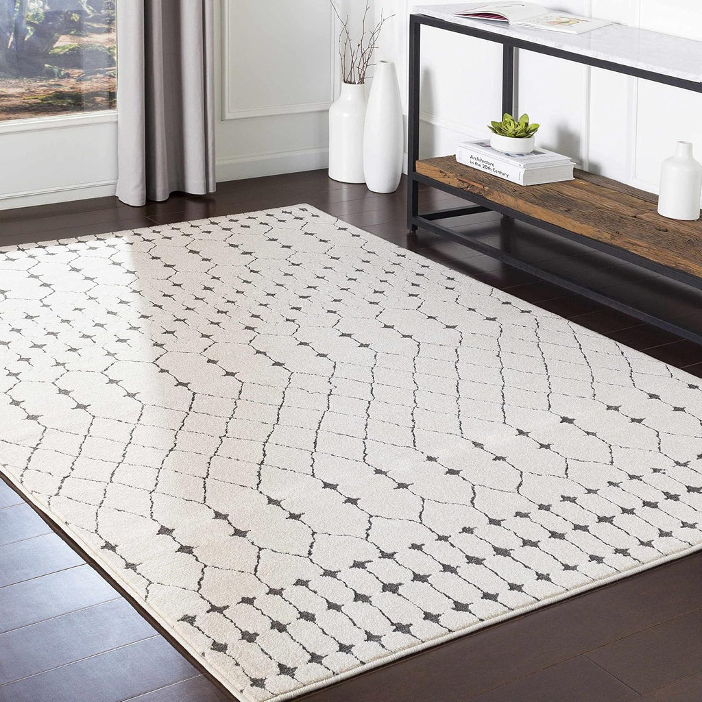 Chubbuck Living Room, Bedroom Area Rug - Trellis Geometric Diamond Lattice - Bohemian Moroccan Modern Contemporary