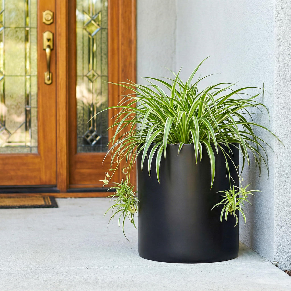 12 Inch Fiberstone Planter - Lightweight Modern Cylinder Plant Pot with Drainage Hole & Plug, Indoor Outdoor Use