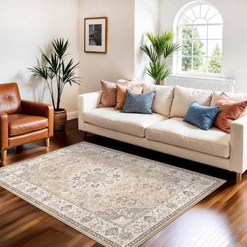 3x5 Living Room Area Rugs: Vintage Washable Non-Slip Rug