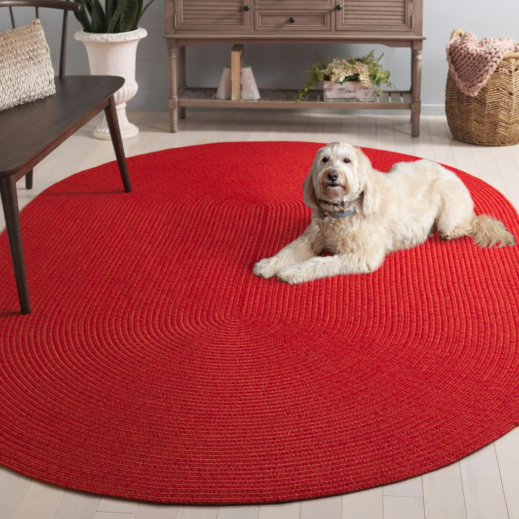 Braided Indoor/Outdoor Washable Oval Rug, Rust & Red BRD317P