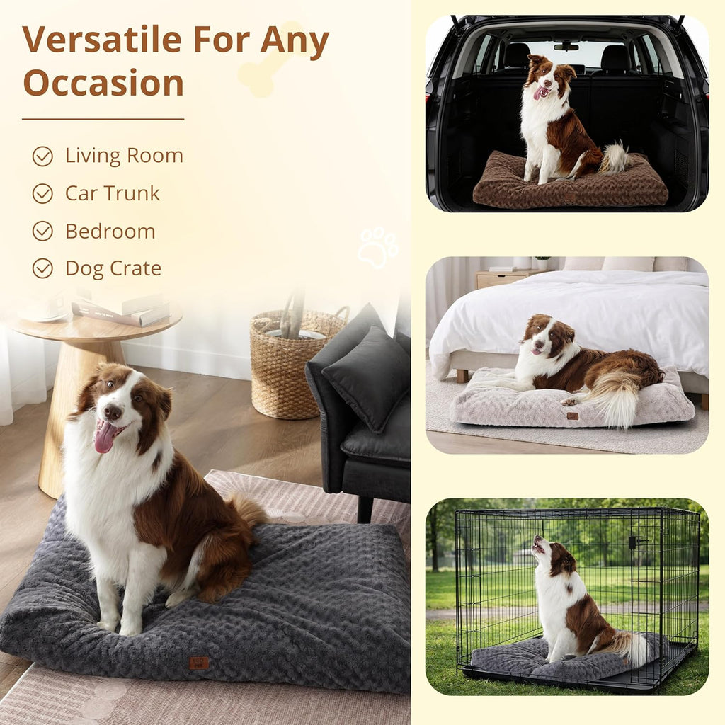 Dog Bed for Medium Dogs, Shredded Memory Foam, Washable, Non-Slip