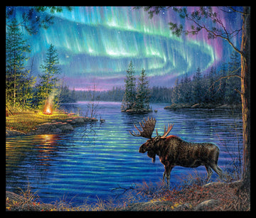 Moose Fabric Panel Northern Lights from 100% Cotton