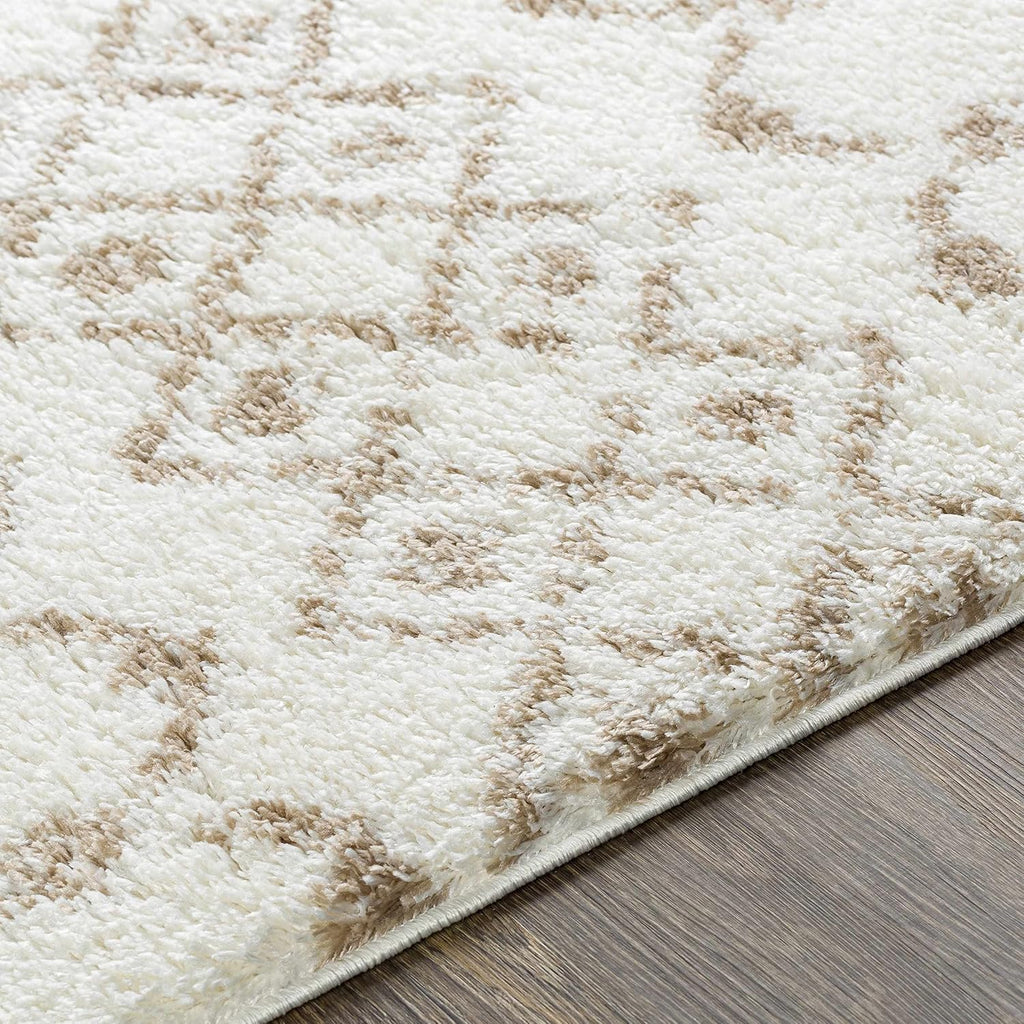 Hampton Living Room, Bedroom Area Rug - Geometric Trellis Diamond Circles Lattice - Bohemian Transitional Moroccan