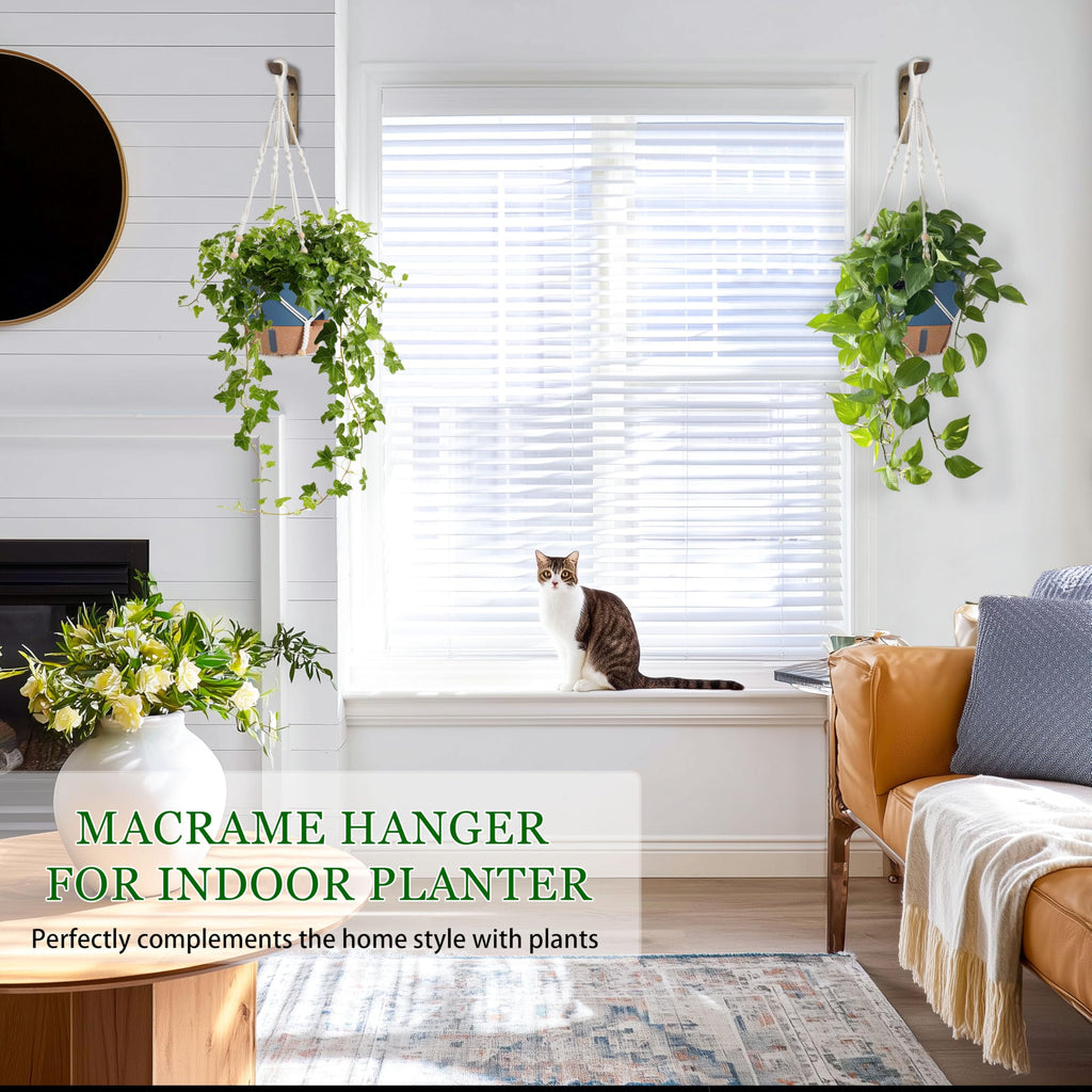 10 Inch Self Watering Hanging Planters for Indoor Plants, 2 Pack