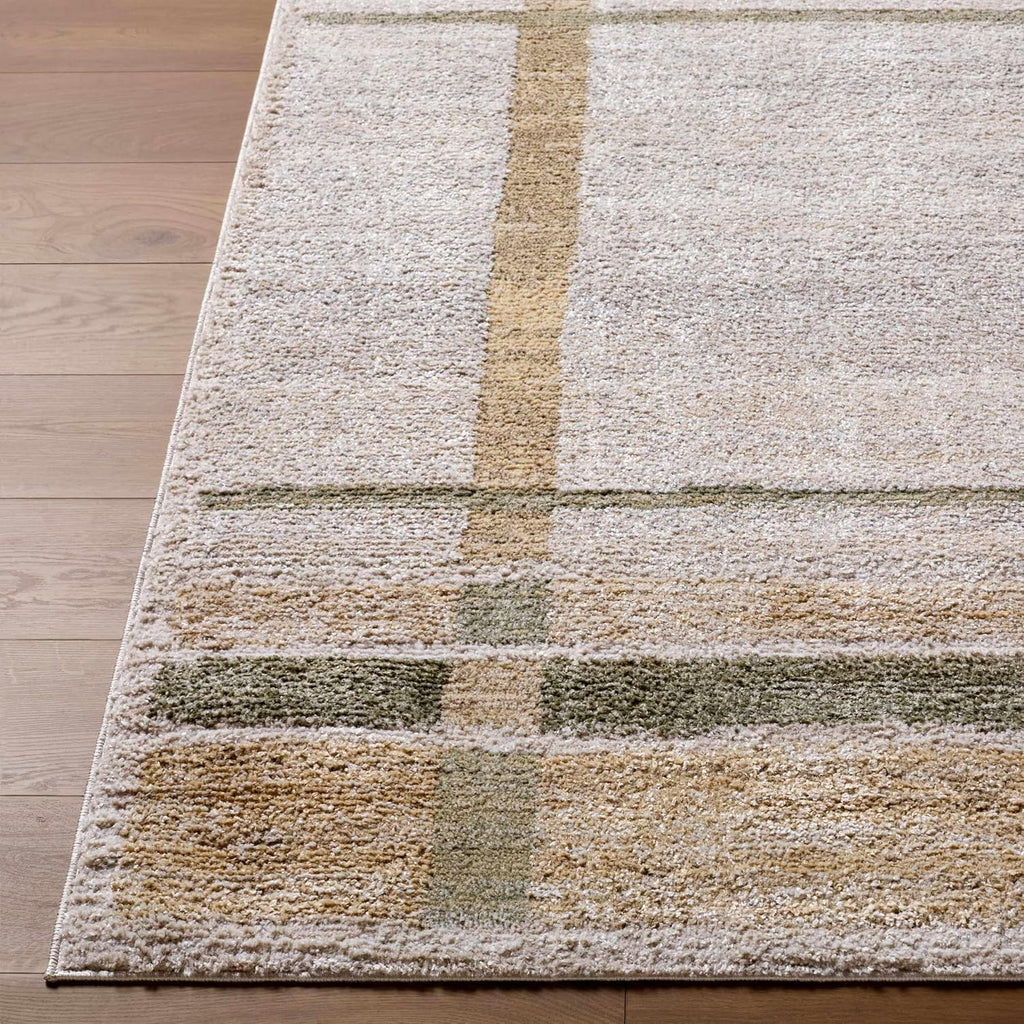 Harini Living Room, Bedroom Area Rug - Plaid Striped Geometric Border - Bohemian Transitional Modern Contemporary