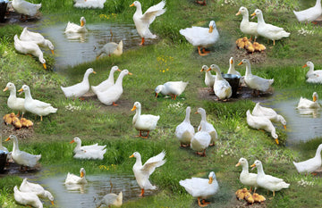 Farm Animals Ducks 651 Green Cotton Fabric