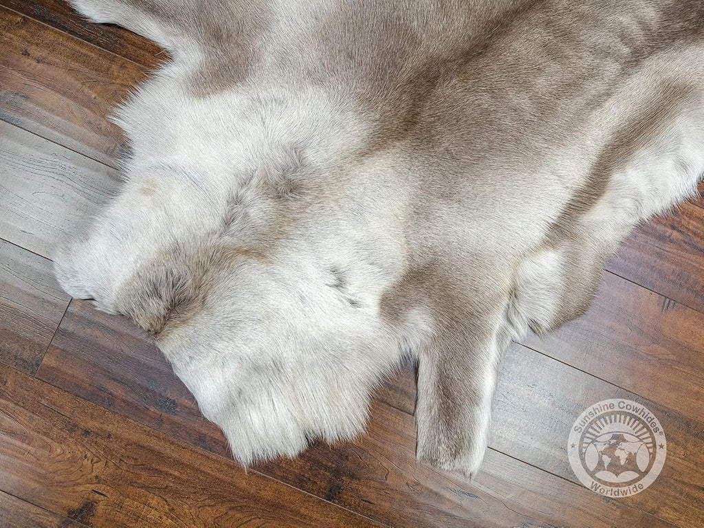 Reindeer Hide Rug 3x5 ft, 100% Genuine Nordic Reindeer Hide (Greyish) | Real Nordic Reindeer Hide Area Rug | Natural