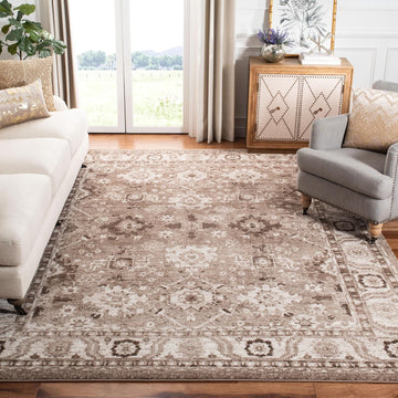Area Rug 9x12 - Vintage Hamadan - Large - Taupe, Traditional Persian Design, Non-Shedding & Easy to Clean
