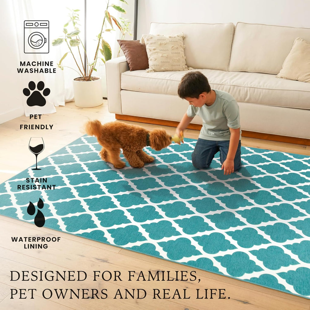 Washable Rug - Stain Resistant, Waterproof, Non-Slip - Pet & Family Friendly Machine Washable Indoor Rugs, RV