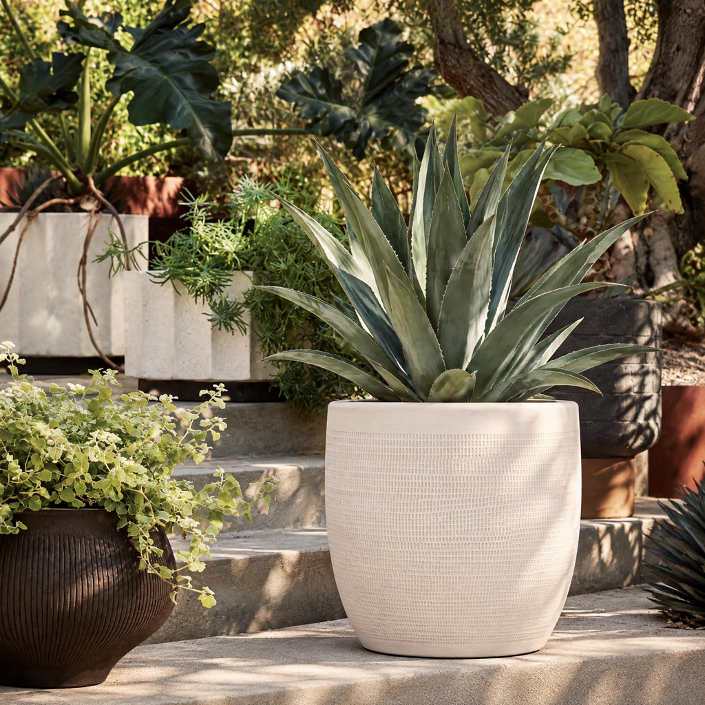 Large Matte White Embossed Stoneware Planter