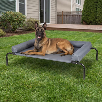 Elevated Dog Bed with 3-Sided Removable Bolster, Gray