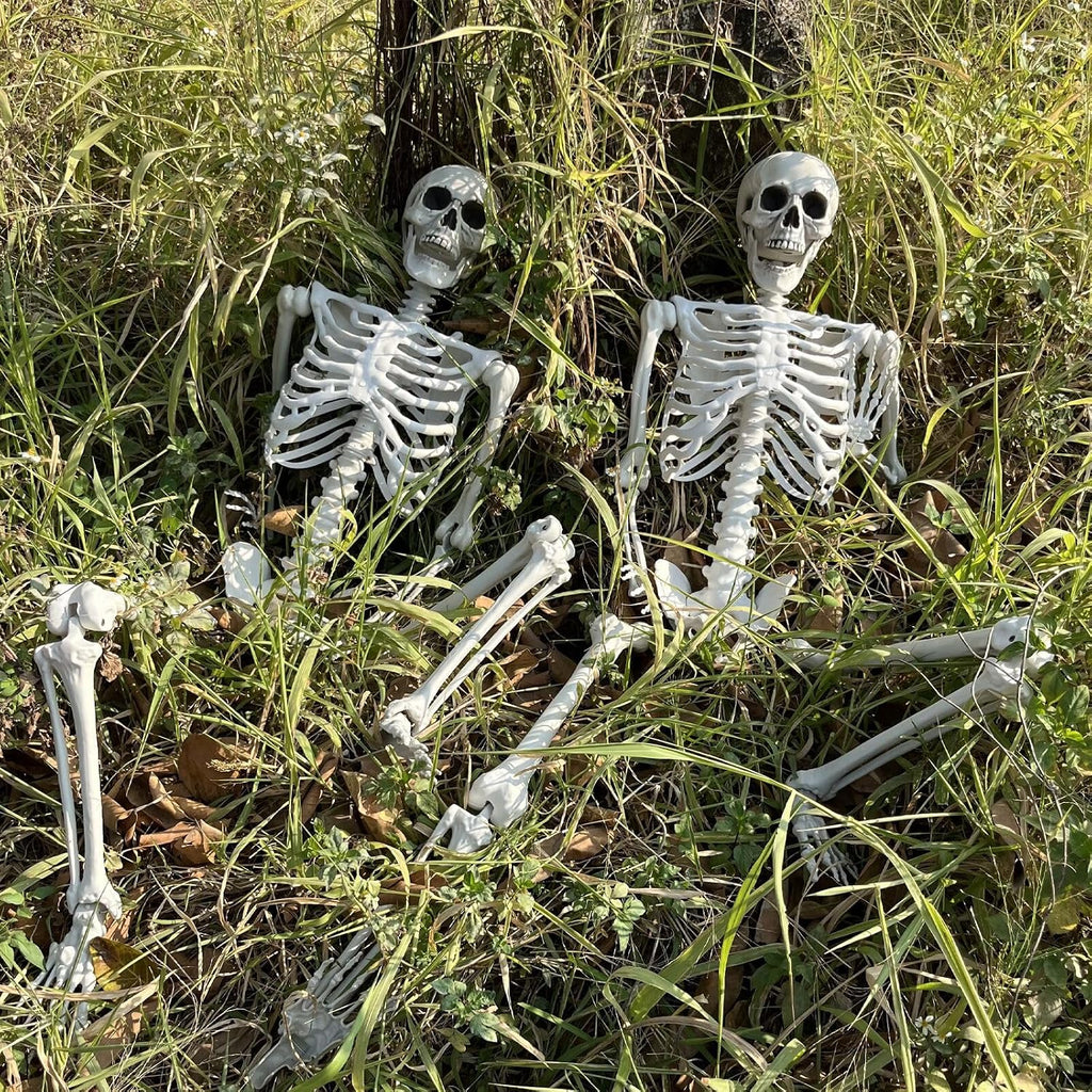 5.4Ft/165cm Halloween Skeleton Full Body Life Size Human Bones with Movable Joints Outdoor Halloween Props Decorations