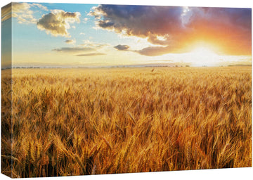Canvas Prints Wall Art - Beautiful Scenery/Landscape Sunset Over Wheat Field | Modern Home Deoration/Wall Art Giclee
