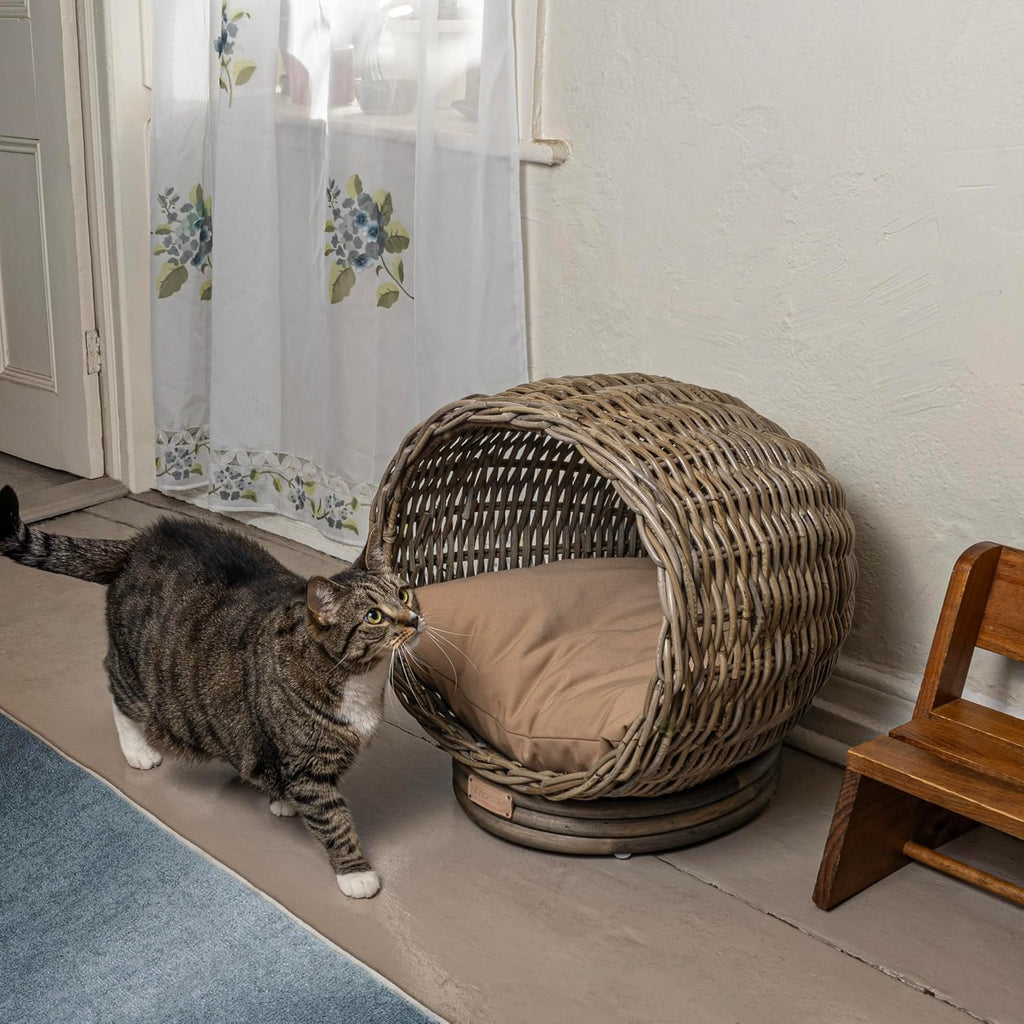 Socket Dome 19.5" x 17" Bohemian Handwoven Rattan Cat Bed with Machine-Washable Cushion, Kubu Gray