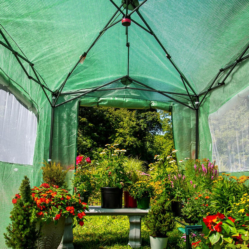 8x6 Easy Setup Pop Up Greenhouse, Clear/Green | Walk-In Greenhouses for Outdoors, Green House for Winter Protection