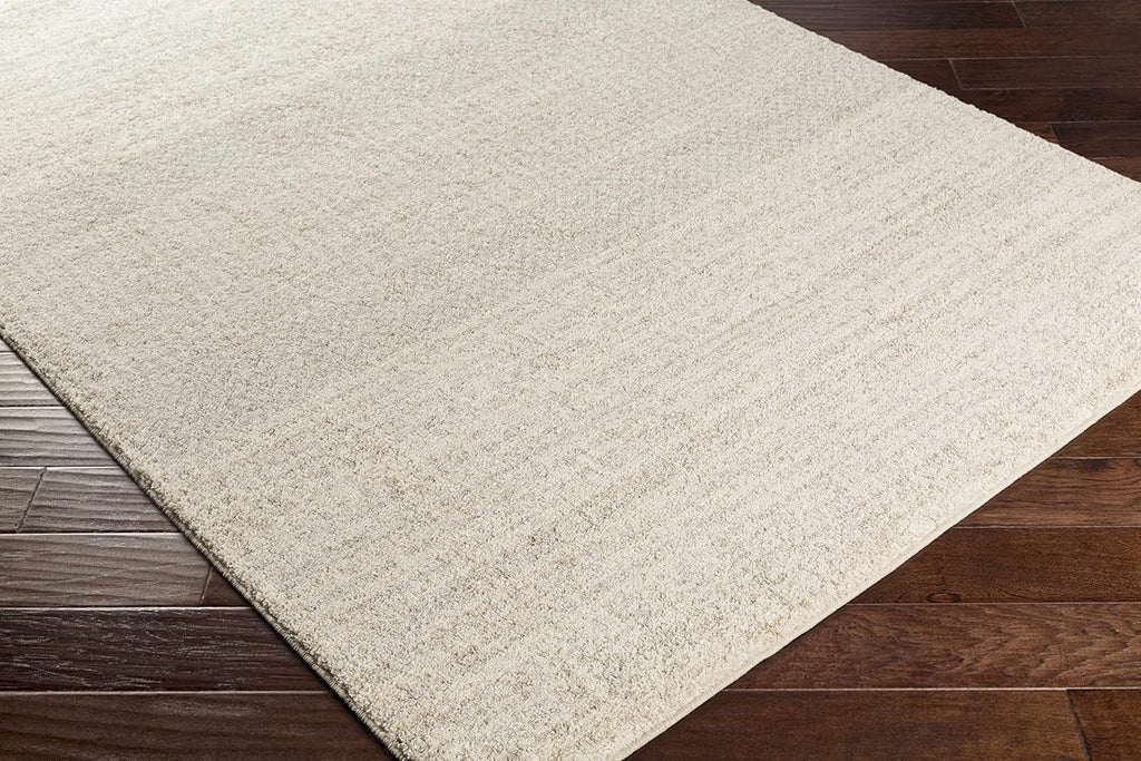 Harpursville Area Rug - Abstract Ombre Faded - Contemporary Modern Scandinavian Minimalist Transitional - High Pile