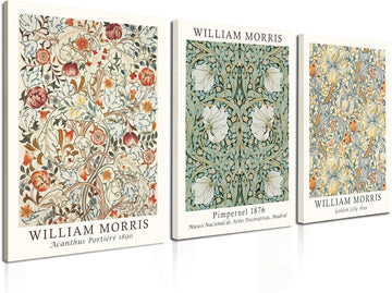 Framed Flower Wall Art Canvas Decor Set of 3, William Morris Framed Prints Posters Mid Century Modern Art, Aesthetic