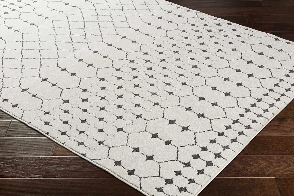 Chubbuck Living Room, Bedroom Area Rug - Trellis Geometric Diamond Lattice - Bohemian Moroccan Modern Contemporary