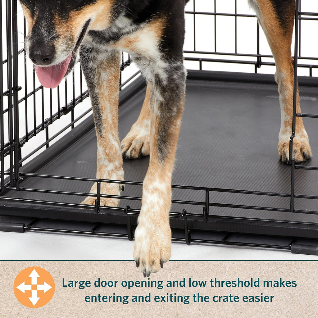 Intermediate LifeStages Single Door 36-Inch Folding Dog Crate, Enhanced Security, Includes Leak-Proof Pan